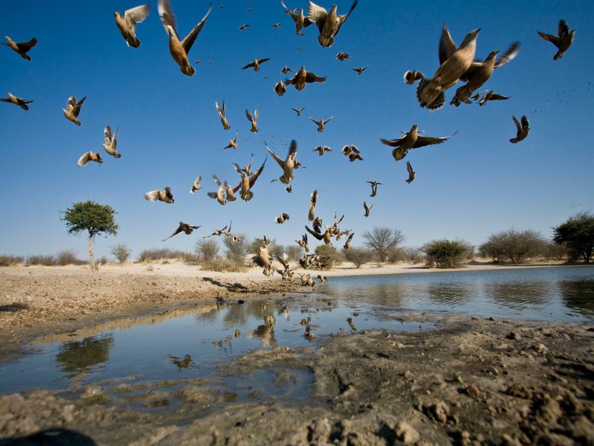 Grassland Safari Lodge Ghanzi Bagian luar foto